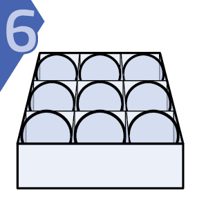 Step 2
